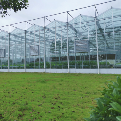 Estufa holandesa profissional de vidro exterior industrial de Multispan do vidro da estufa da flor da agricultura para a plantação da flor