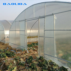 Vegetais altos do túnel que plantam a estufa vegetal do filme plástico do túnel do único período