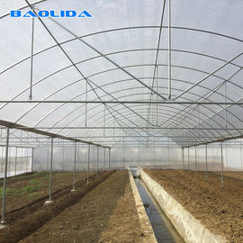 Estufa agrícola da cobertura plástica com estrutura de aço galvanizada quente