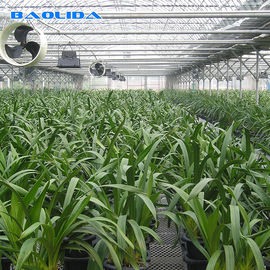 Estufa do período da proteção UV do filme de polietileno do controlo automático multi para o crescimento das plantas
