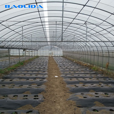 O tomate industrial comercial agrícola do filme plástico cresce estufa do período do micro do sistema 150 a multi