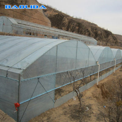 Túnel alto agrícola da circulação de ar das calhas do túnel que cresce estufa do período de 8m a multi