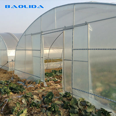 túnel alto plástico do comprimento de 100m que cultiva a estufa do filme de polietileno para o crescimento de colheita