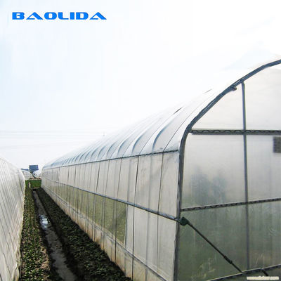 O plástico vegetal do túnel do único período cresce agrícola da casa galvanizado