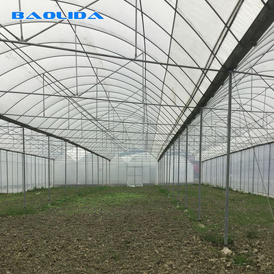 O tomate industrial comercial agrícola do filme plástico cresce estufa do período do micro do sistema 150 a multi