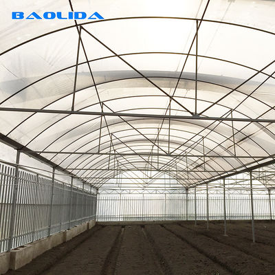 Estufa agrícola galvanizada do túnel do período do filme plástico de tubulação de aço multi para o vegetal