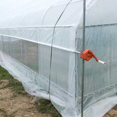 Morango que cresce a estufa plástica do único túnel agrícola do período 2m