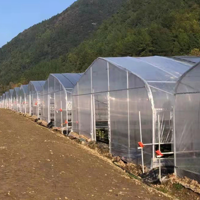 estufa do filme de cobertura plástica do período do comprimento de 30m única para o cultivo do tomate