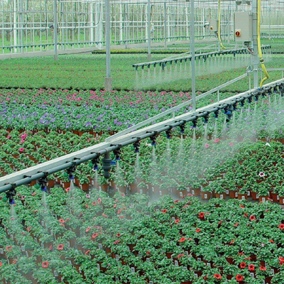 Plantas agrícolas da exploração agrícola que crescem o sistema de irrigação automático da estufa