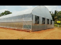 Plastic Polyethylene Film Greenhouse With Cooling System φ25mm*1.5mm