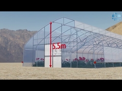 Polyethylene Tunnel 6 Mil Plastic Covering Sawtooth Top Vent Greenhouse