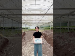 Pronto para elevar o teu jogo de agricultura?