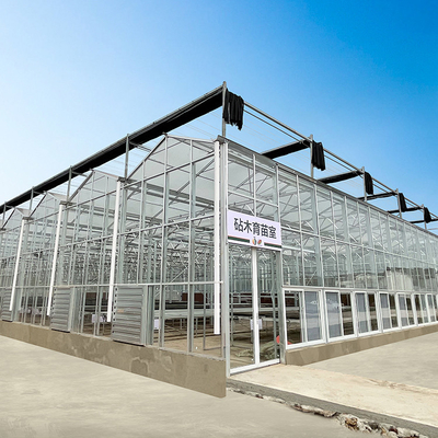 Qualidade  Multi Span Hyroponic Galvanized Float Venlo Greenhouse Glass Agricultural Kits fábrica