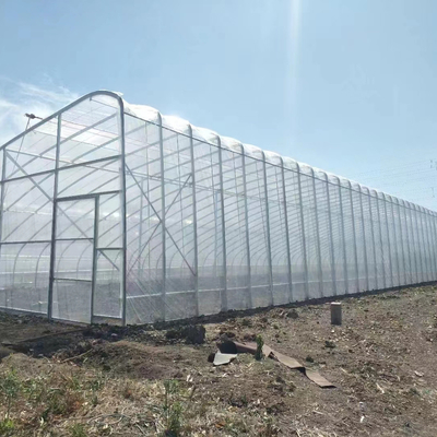 Qualidade  Plastic Film Solar Passive Greenhouse With Rainwater Collection Support fábrica