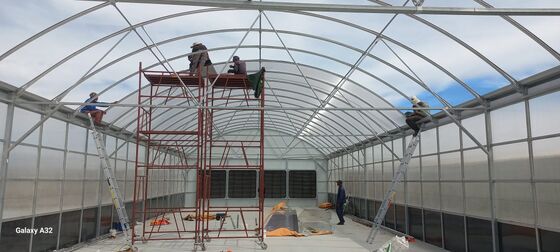 Qualidade  Automated Light Deprivation Greenhouse with 8mm Twin-Wall PC Board and Hot-Dip Galvanized Steel Frame Controlled by Smart PLC System fábrica