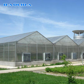 Qualidade  Commercial Polycarbonate Sheet Greenhouse / PC Sheet Greenhouse Customized Material fábrica