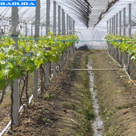 Qualidade  Small Greenhouse Irrigation System / Greenhouse Auto Watering System fábrica