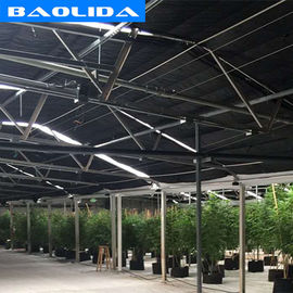 Qualidade  Advanced Automated Blackout Greenhouse Full Auto Light Deprivation Hemp Growing fábrica