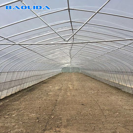 Qualidade  Tomato Growing Naturally Ventilated Greenhouse Plastic Film Greenhouse fábrica