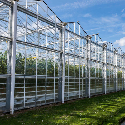 Estufa de vidro solar agrícola crescente hidropônica do sistema para vegetais