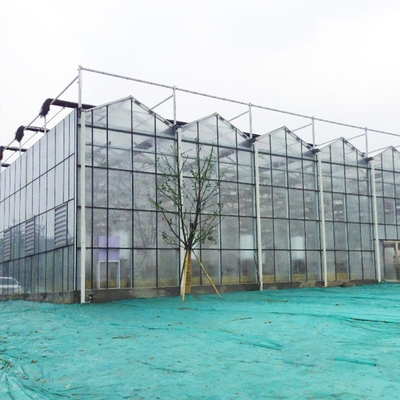 Estufa hidropônica do vidro de fibra do multi período agrícola para o crescimento de vegetais