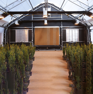 Crescimento das plantas da agricultura da estufa da privação da luz do escurecimento do cannabis da folha do PC