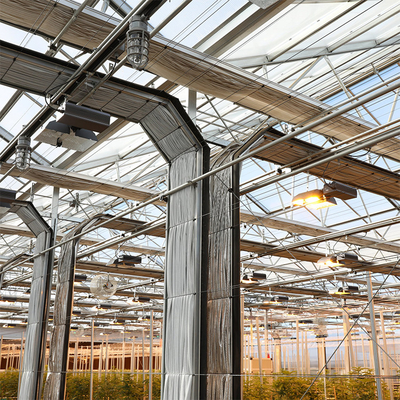 Conduzido cresça de iluminação crescimento de Dep Greenhouse Multi Span For Hemps da luz do túnel o auto