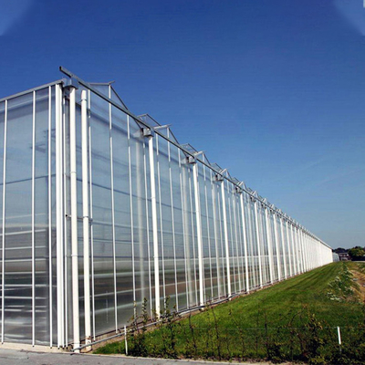 Plantas da agricultura que crescem a estufa de vidro de Venlo do multi período com almofada refrigerando