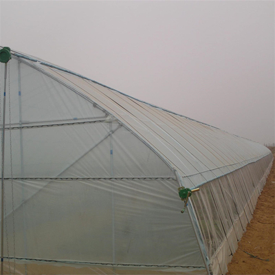 Preservação do calor da estufa do período do túnel do filme plástico única para o tomate do inverno