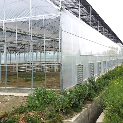 Multi apoio transparente plástico da janela lateral da agricultura da estufa do período