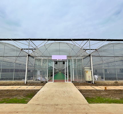 Estufa agrícola do filme plástico do multi período personalizada para a plantação do tomate