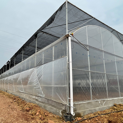 Estufa agrícola do filme plástico do multi período personalizada para a plantação do tomate