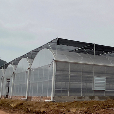 Estufa clara Kit Multi Span Greenhouse do policarbonato de Coverd do filme de 200 mícrons