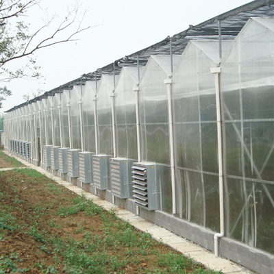 Estufa de Polycarbonate Multi Span do controlador do clima para a produção vegetal