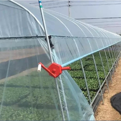 Estufa do filme plástico do túnel da agricultura única para a morango que planta o crescimento