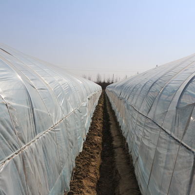 Estufa plástica do túnel chinês exterior do arco transparente para o cultivo