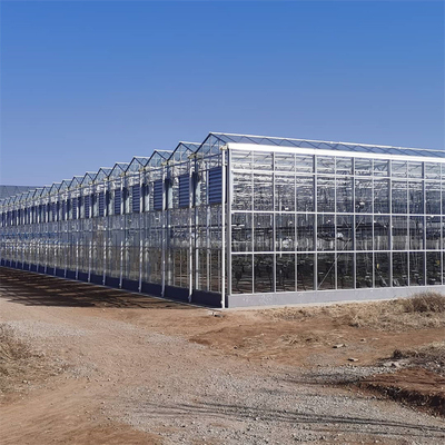 Estufa de vidro moderada isolada de Venlo da luz solar da estufa para a horticultura