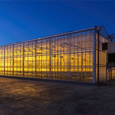 Estufa de vidro moderada isolada de Venlo da luz solar da estufa para a horticultura