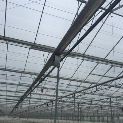 Estufa de vidro moderada isolada de Venlo da luz solar da estufa para a horticultura