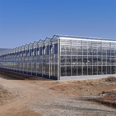Estufa de vidro automática de Venlo do multi período da agricultura para o crescimento de vegetais