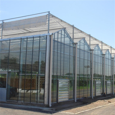 Tipo de vidro moderado estufa Multispan de Venlo do painel para os vegetais hidropônicos