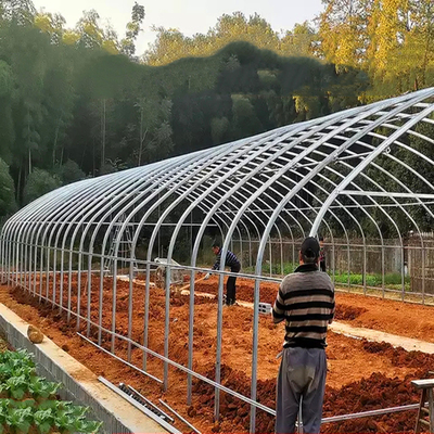 Estufa plástica do túnel agrícola plástico da exploração agrícola das morangos do túnel com sistema de ventilação