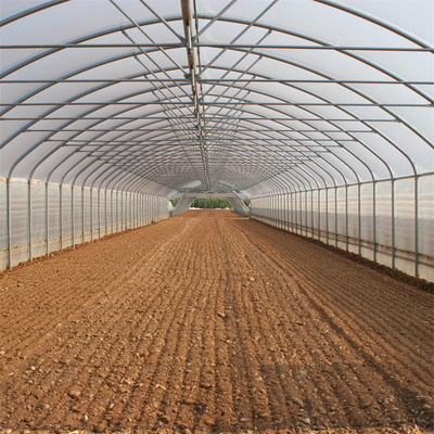 Única estufa do túnel do filme plástico do período para o crescimento agrícola das plantas