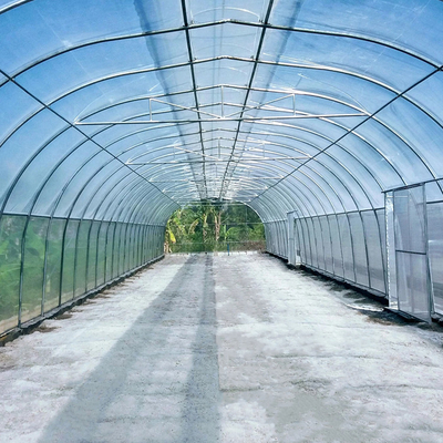 Estufa do respiradouro do telhado de guarda-chuva do túnel do único período da agricultura única para a área quente