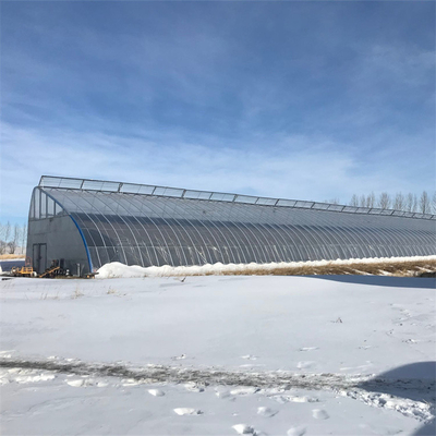 Túnel solar passivo do filme plástico da estufa do inverno da área fria único