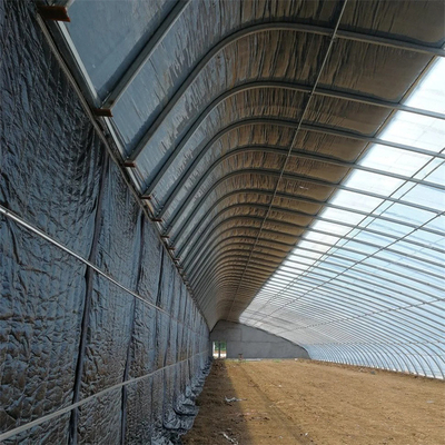 Período da estufa solar passiva do túnel único com a edredão para a área fria hidropônica