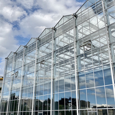 Estufa de vidro automática galvanizada de Venlo da tubulação de aço para o jardim botânico