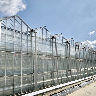 Venlo automatizou período moderado hidropônico da estufa de vidro da planta o multi agrícola
