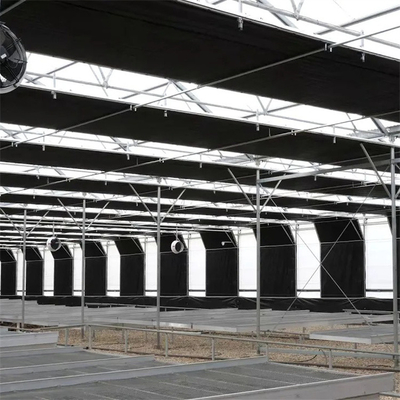 O projeto Turnkey EUA escava um túnel o crescimento agrícola da planta da estufa automática do escurecimento
