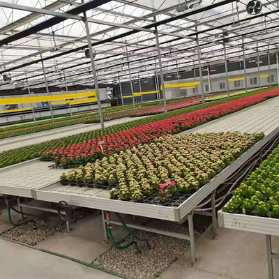 Os vegetais declinam e fluem bancos de Tray Seeding Bed Greenhouse Rolling